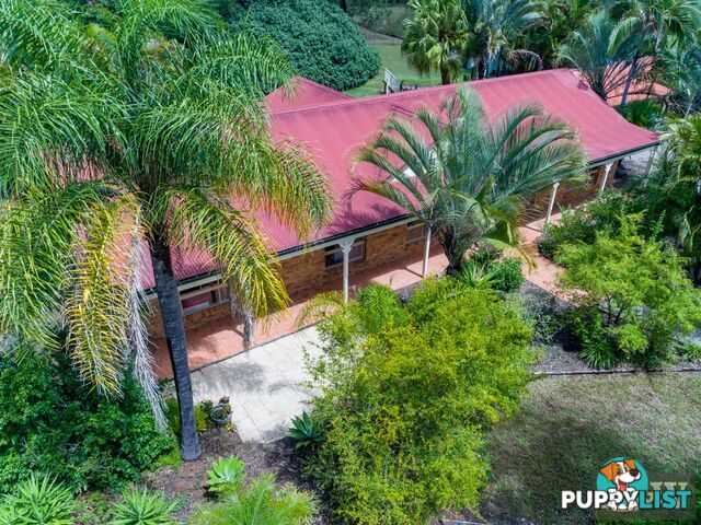 119 Riflebird Drive Upper Caboolture QLD 4510