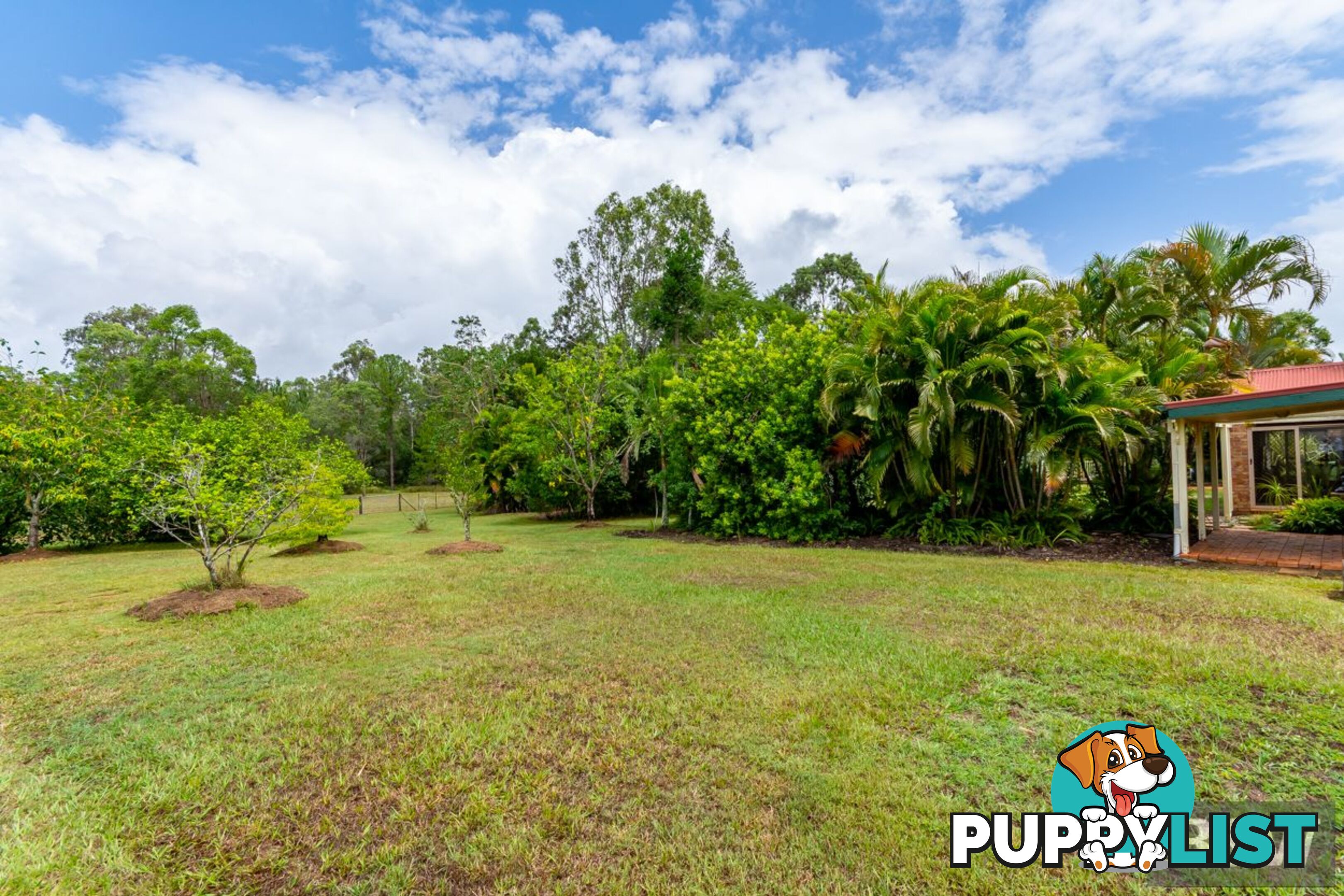 119 Riflebird Drive Upper Caboolture QLD 4510