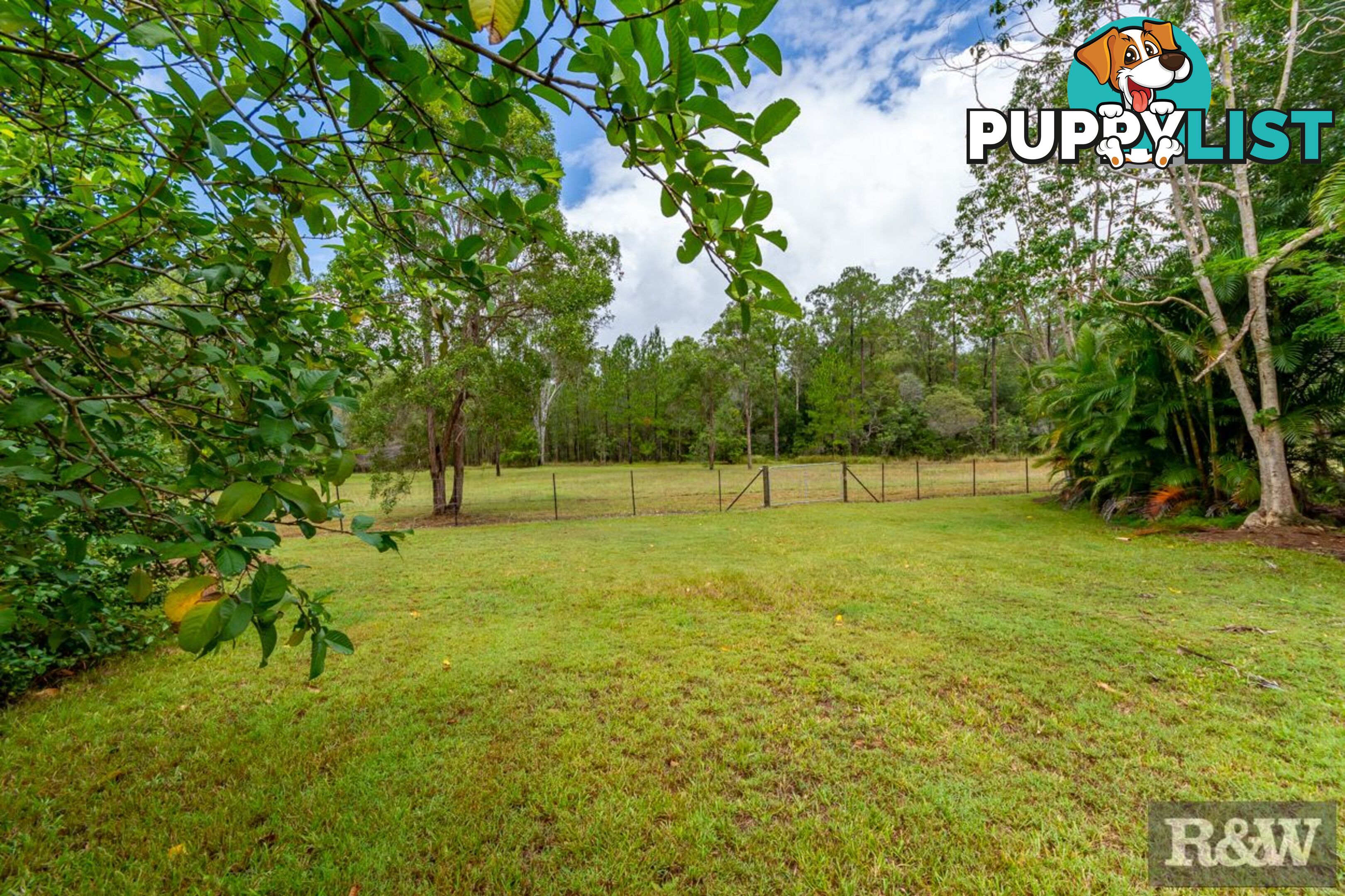 119 Riflebird Drive Upper Caboolture QLD 4510