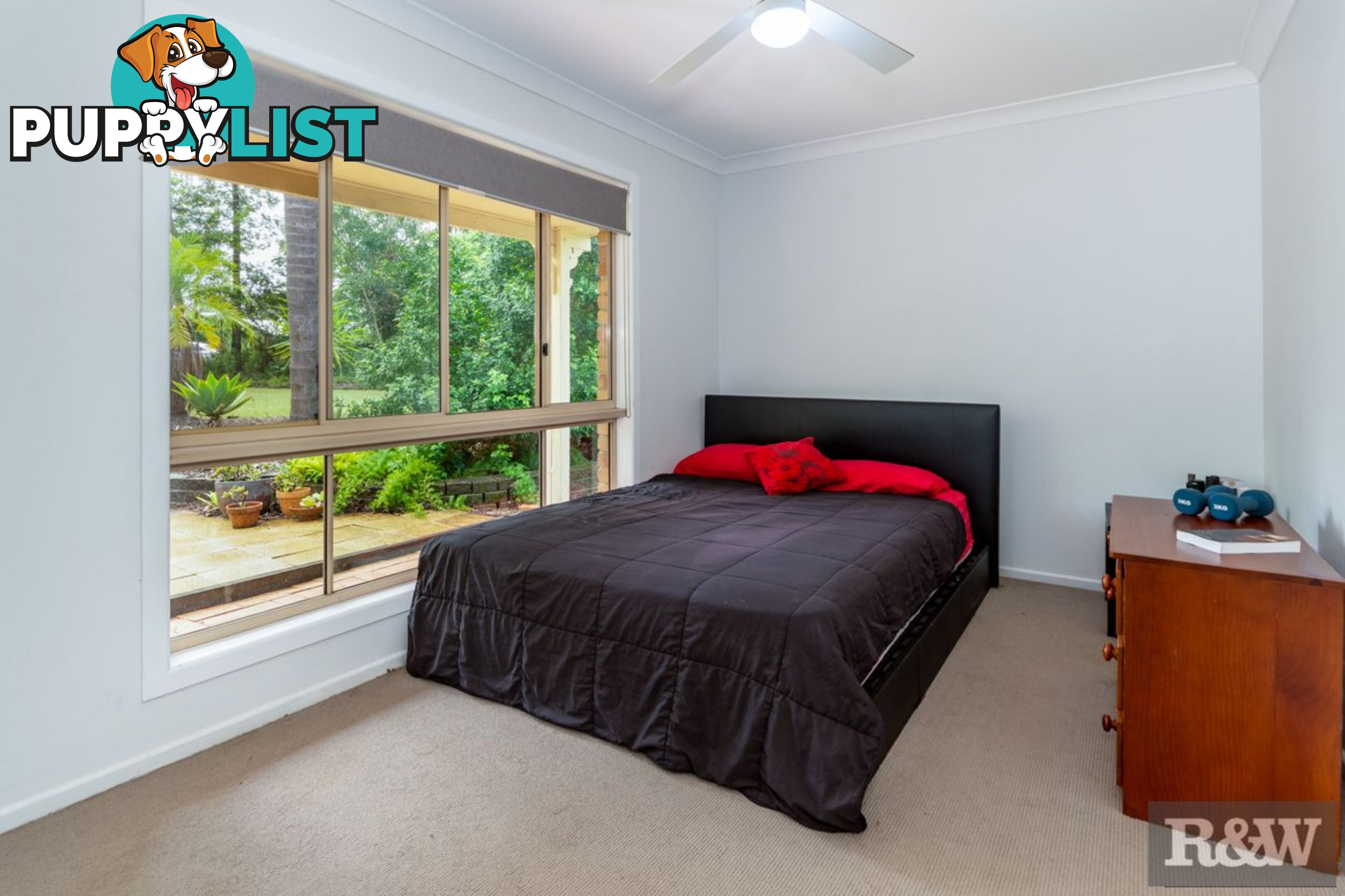 119 Riflebird Drive Upper Caboolture QLD 4510