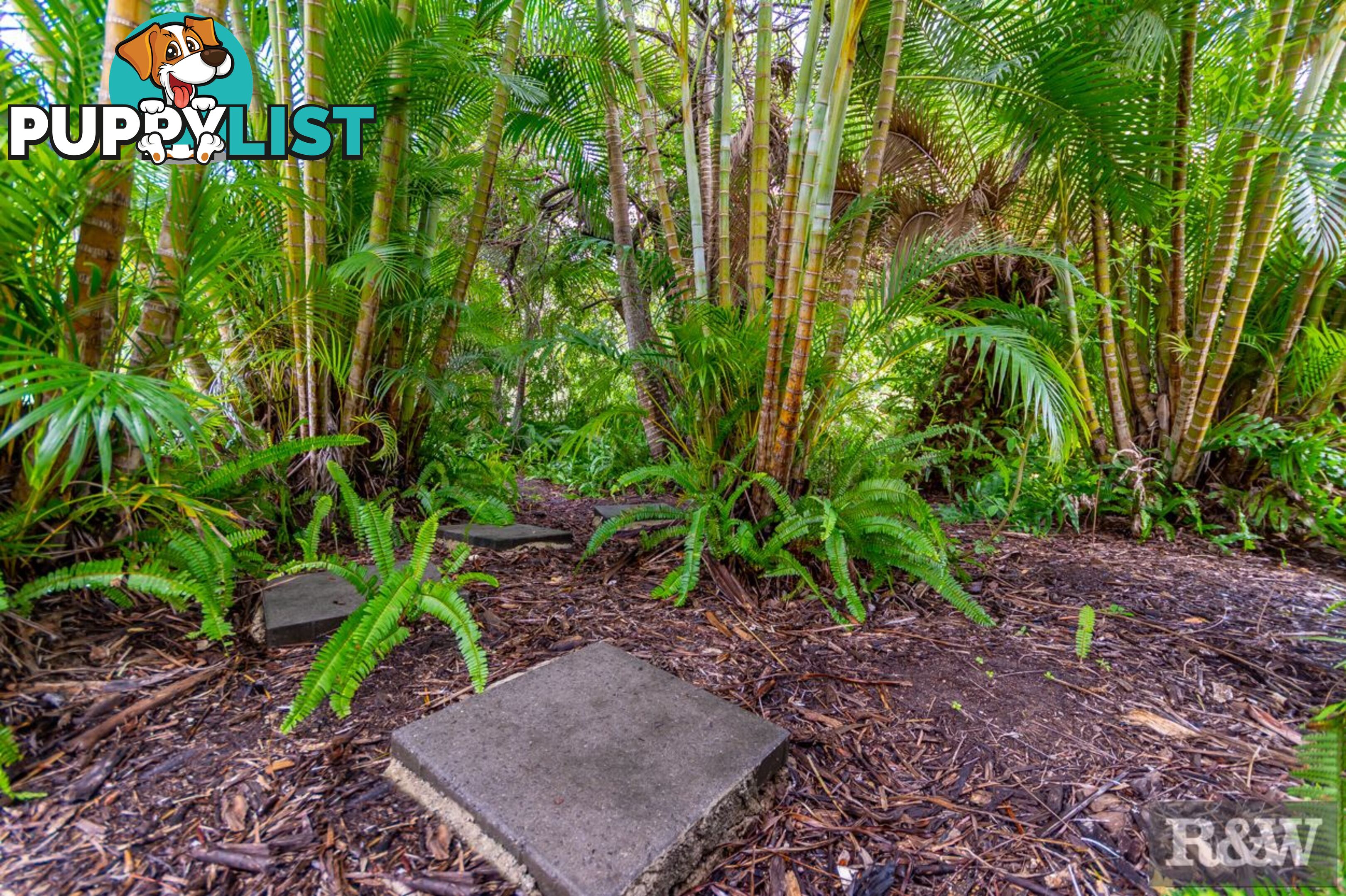 119 Riflebird Drive Upper Caboolture QLD 4510