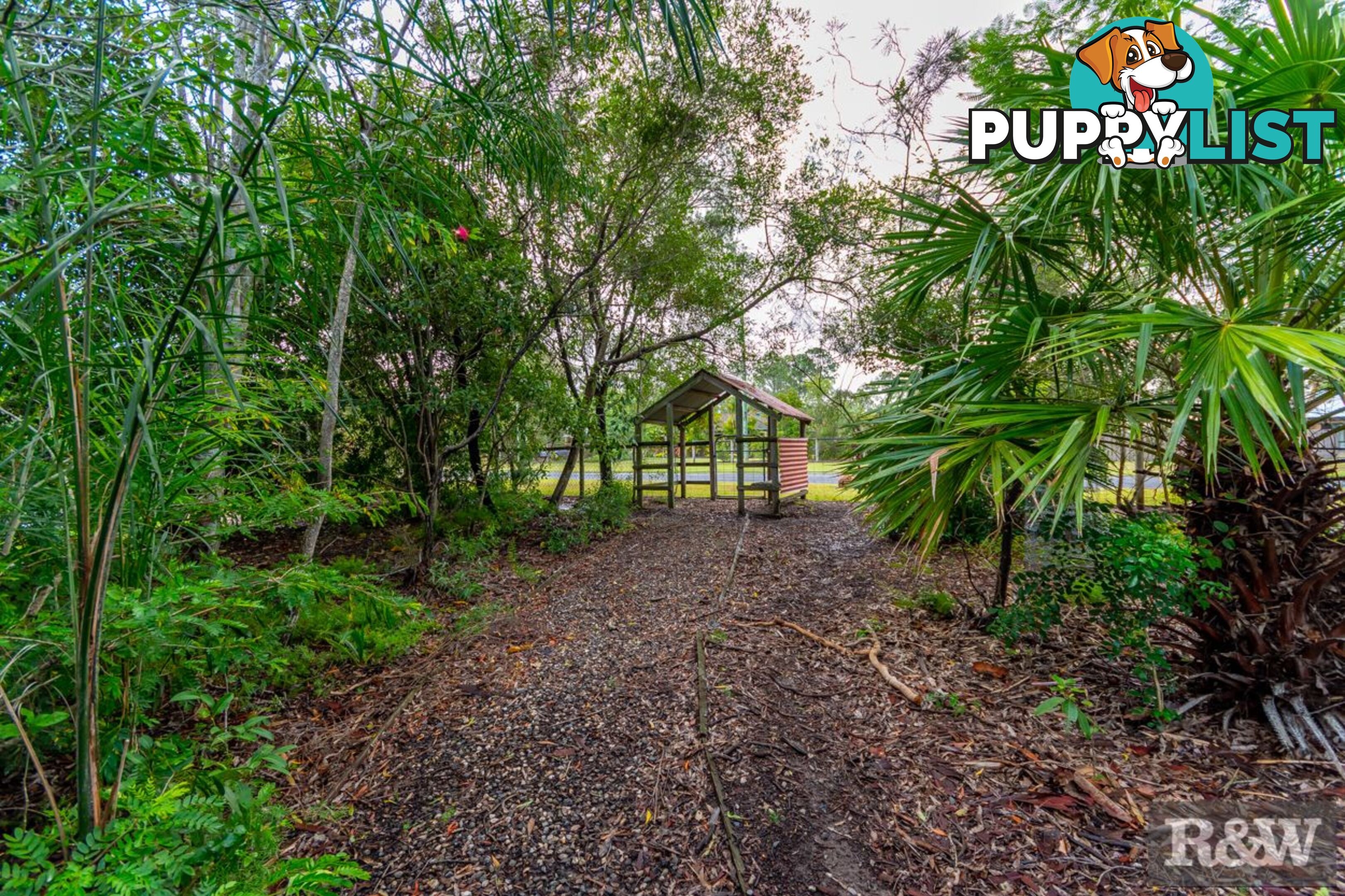 119 Riflebird Drive Upper Caboolture QLD 4510