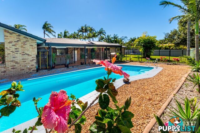 94 Morris Road Elimbah QLD 4516