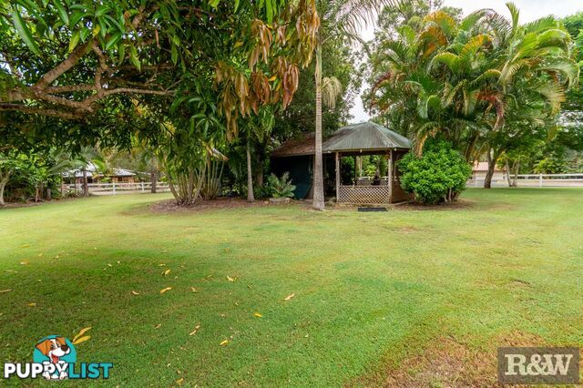 132 Wattlebird Drive Elimbah QLD 4516