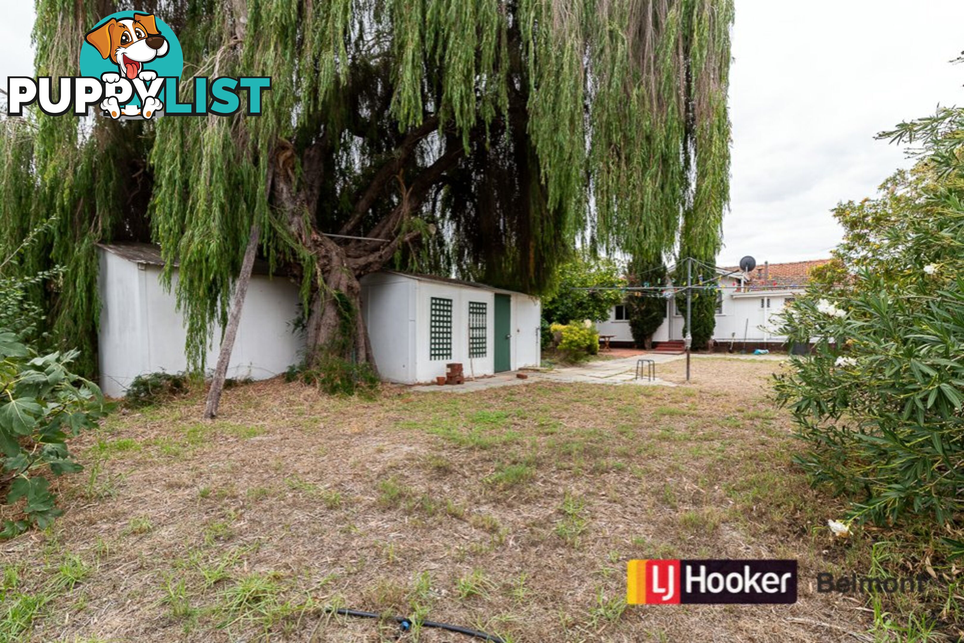 64 Somers Street BELMONT WA 6104