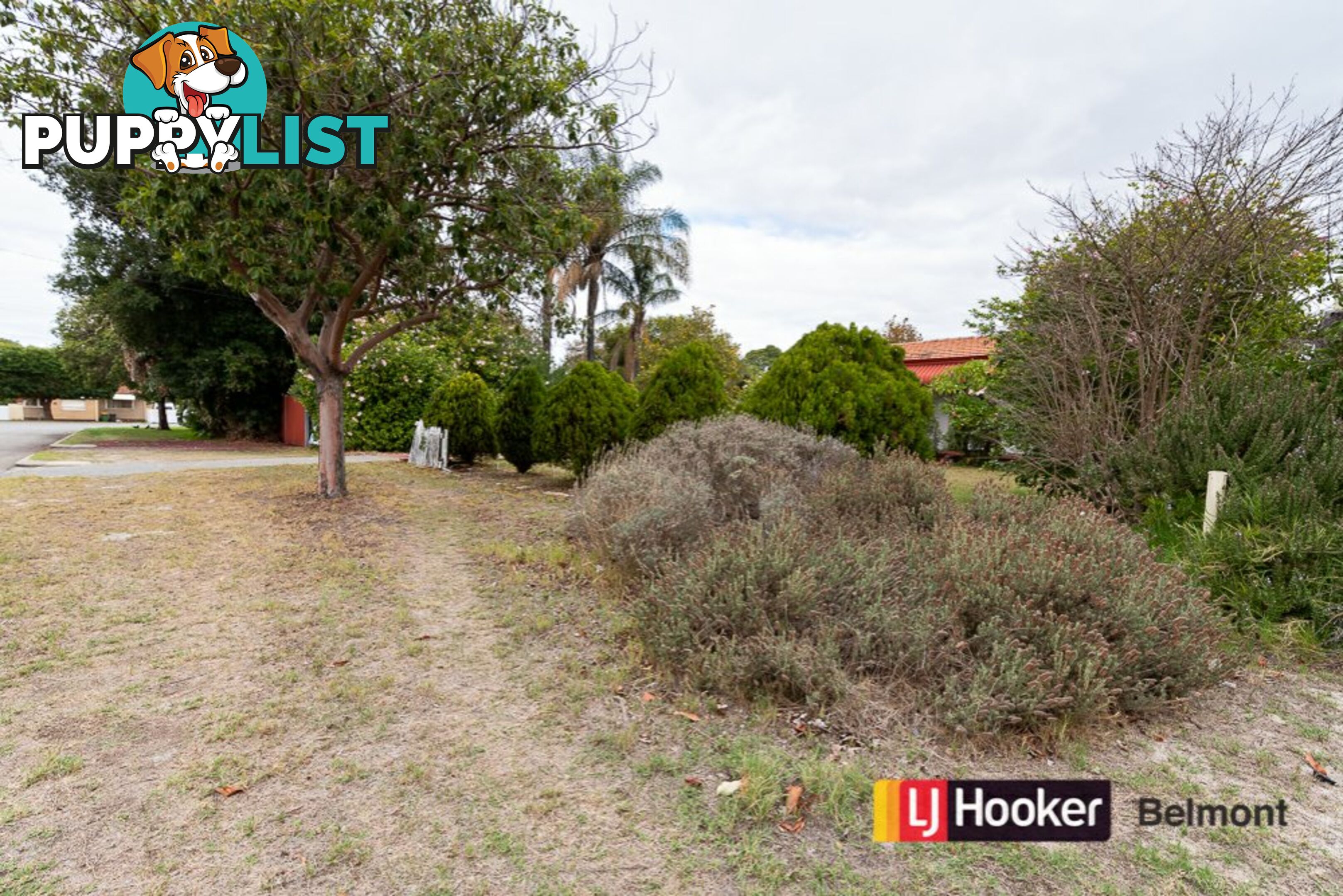 64 Somers Street BELMONT WA 6104