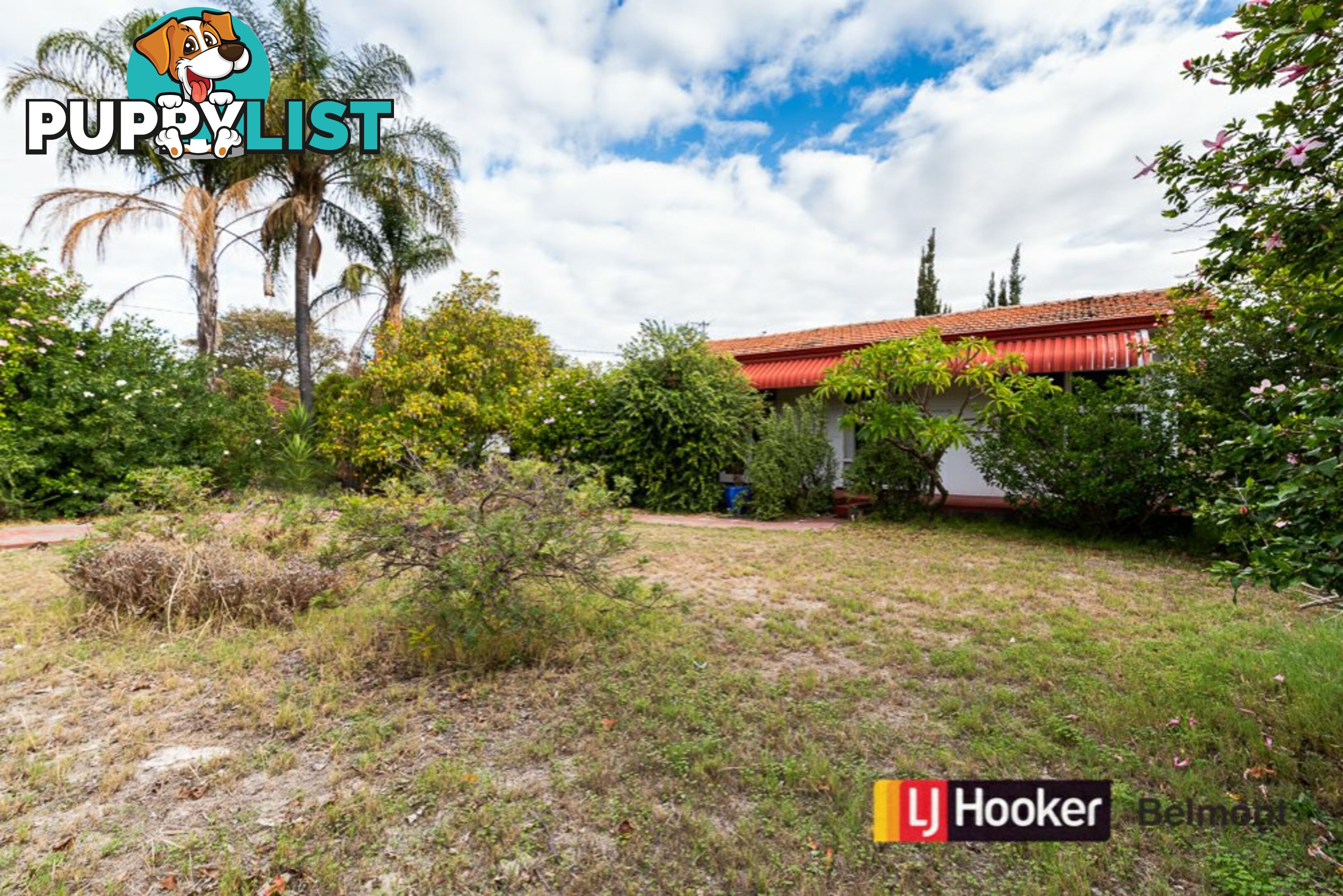 64 Somers Street BELMONT WA 6104