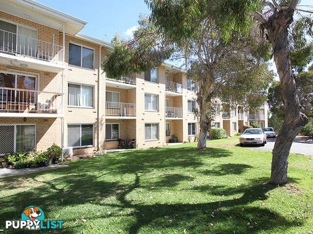 16/4 Minora Place RIVERVALE WA 6103