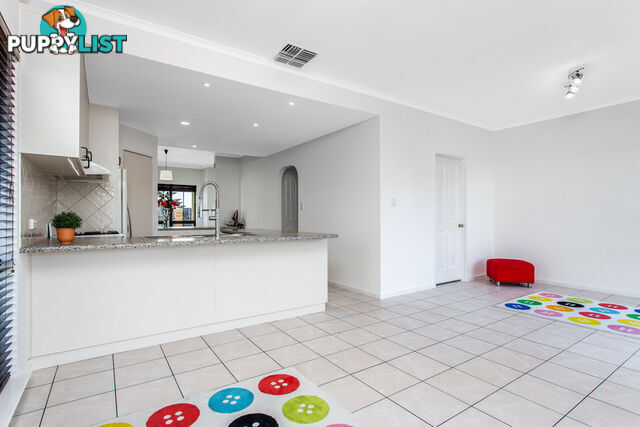 16 Knapman Crescent PORT ADELAIDE SA 5015