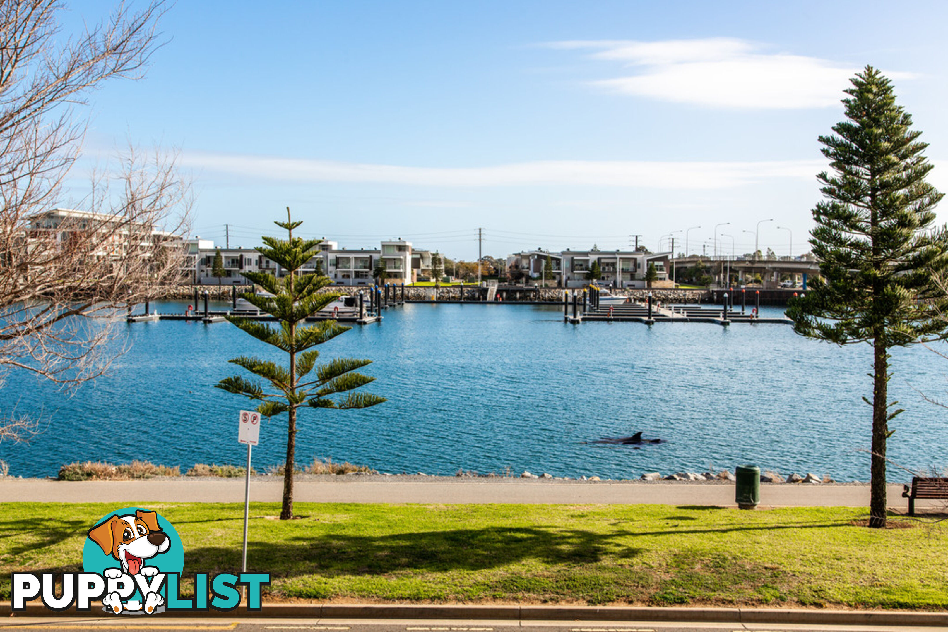 16 Knapman Crescent PORT ADELAIDE SA 5015