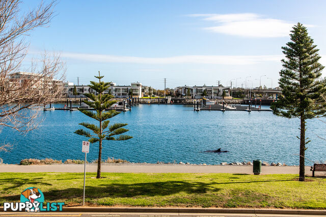 16 Knapman Crescent PORT ADELAIDE SA 5015