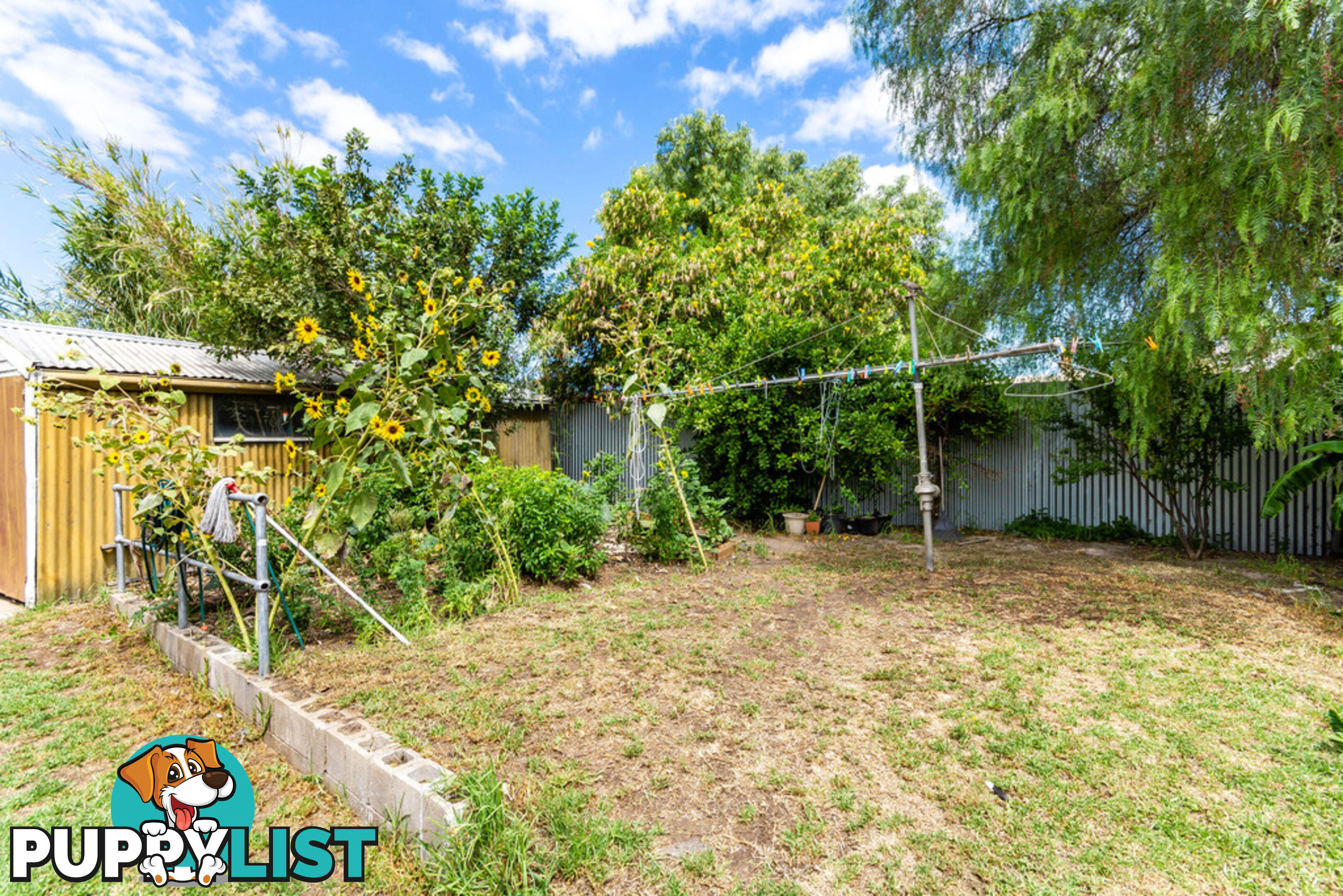 40 Bucknall Road GLANVILLE  5015