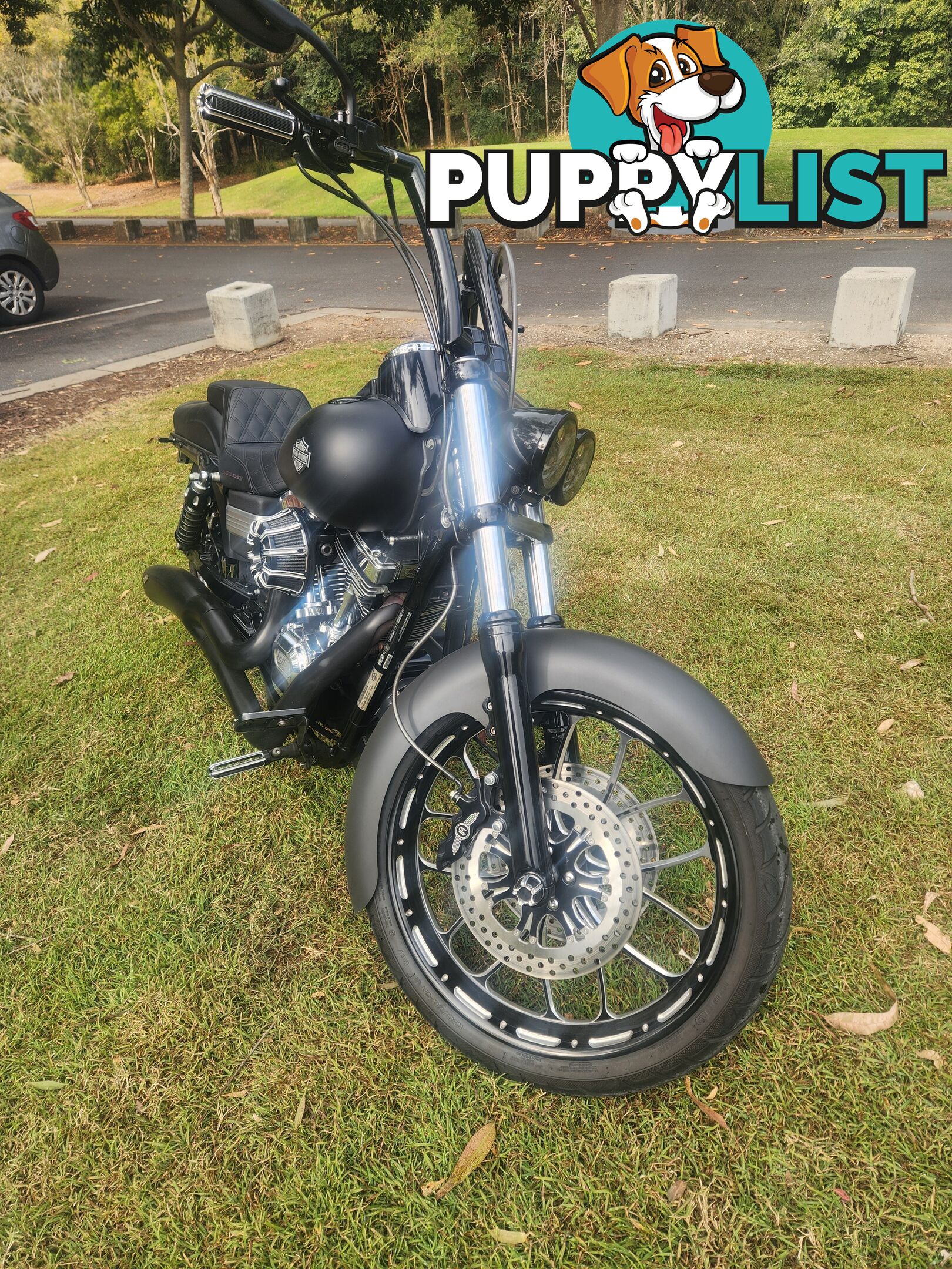 2011 Harley-Davidson Dyna Fat Bob 103 (FXDF)
