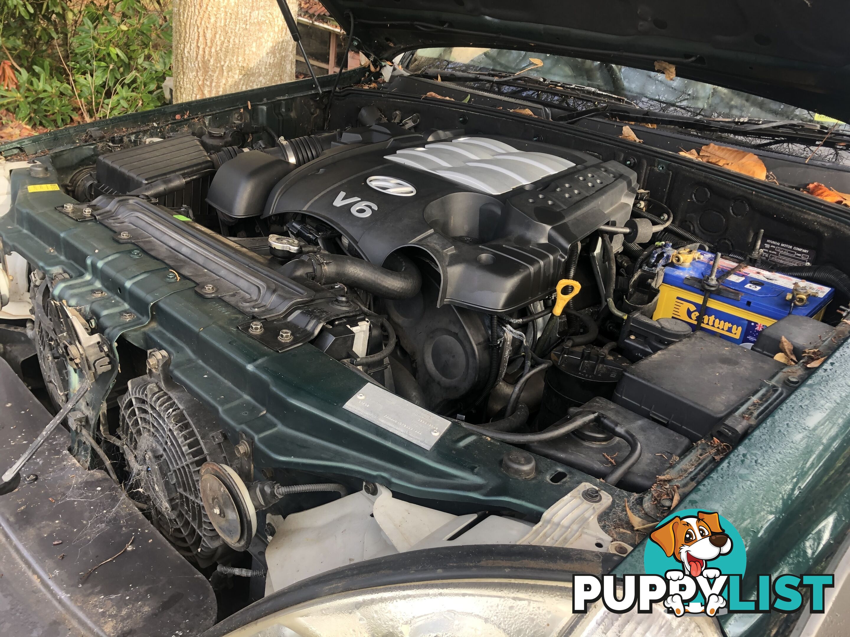 2002 Hyundai Terracan Highlander SUV Manual