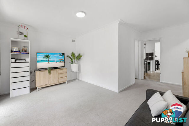 8 Porpoise Place WILLMOT NSW 2770