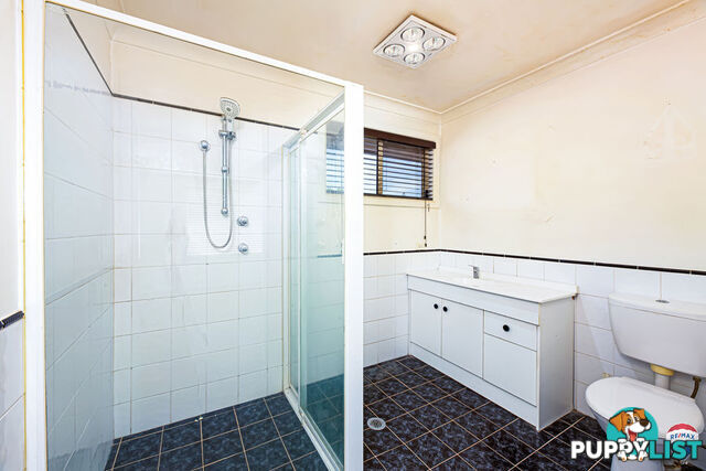 42 COLLEGE STREET CAMBRIDGE PARK NSW 2747