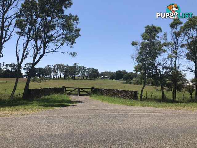 EXETER NSW 2579