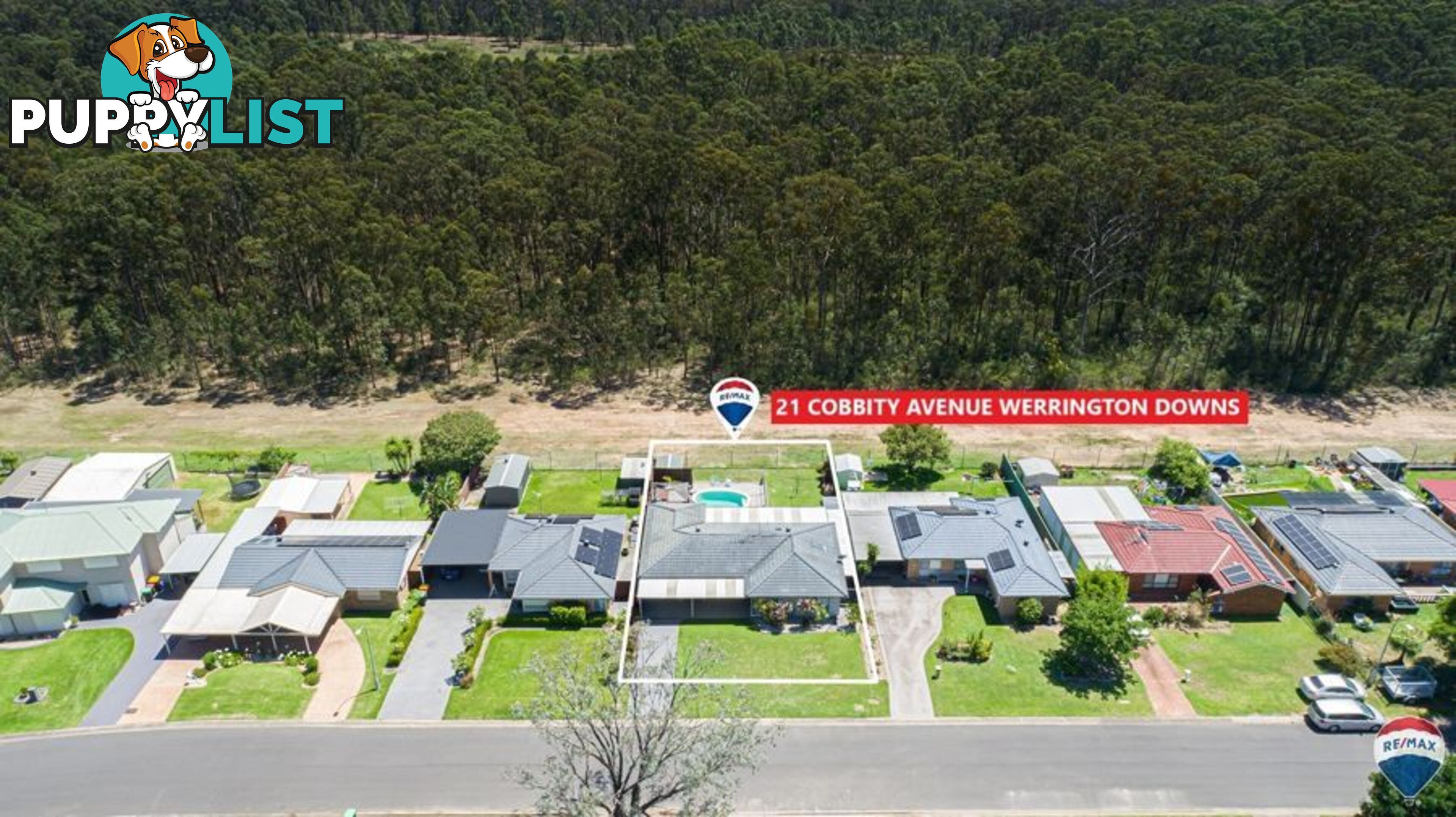 21 COBBITY AVENUE WERRINGTON DOWNS NSW 2747