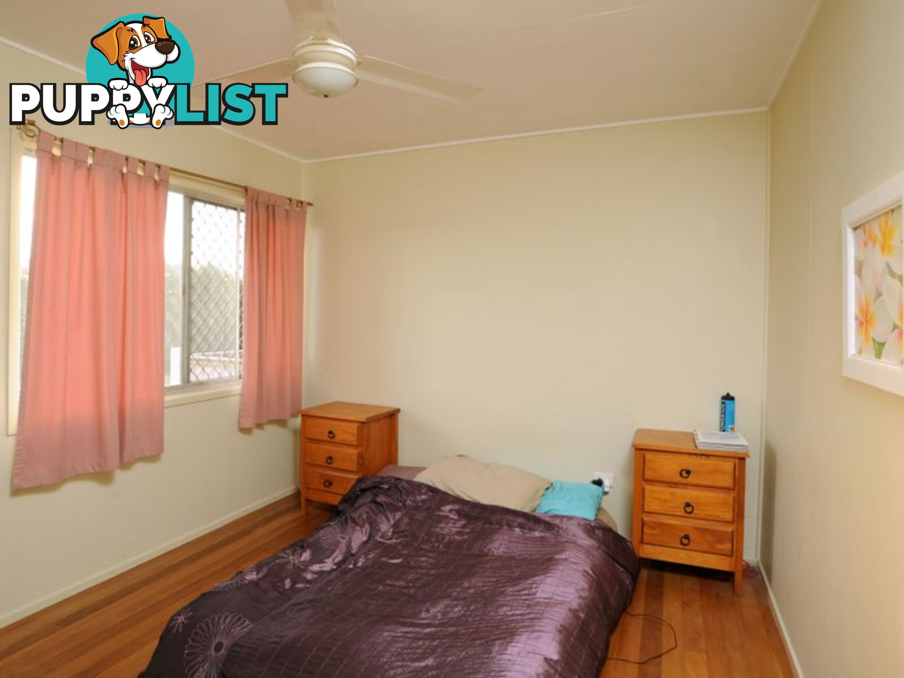 8 Cedar Street CANNON HILL QLD 4170