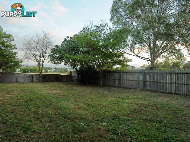 8 Cedar Street CANNON HILL QLD 4170