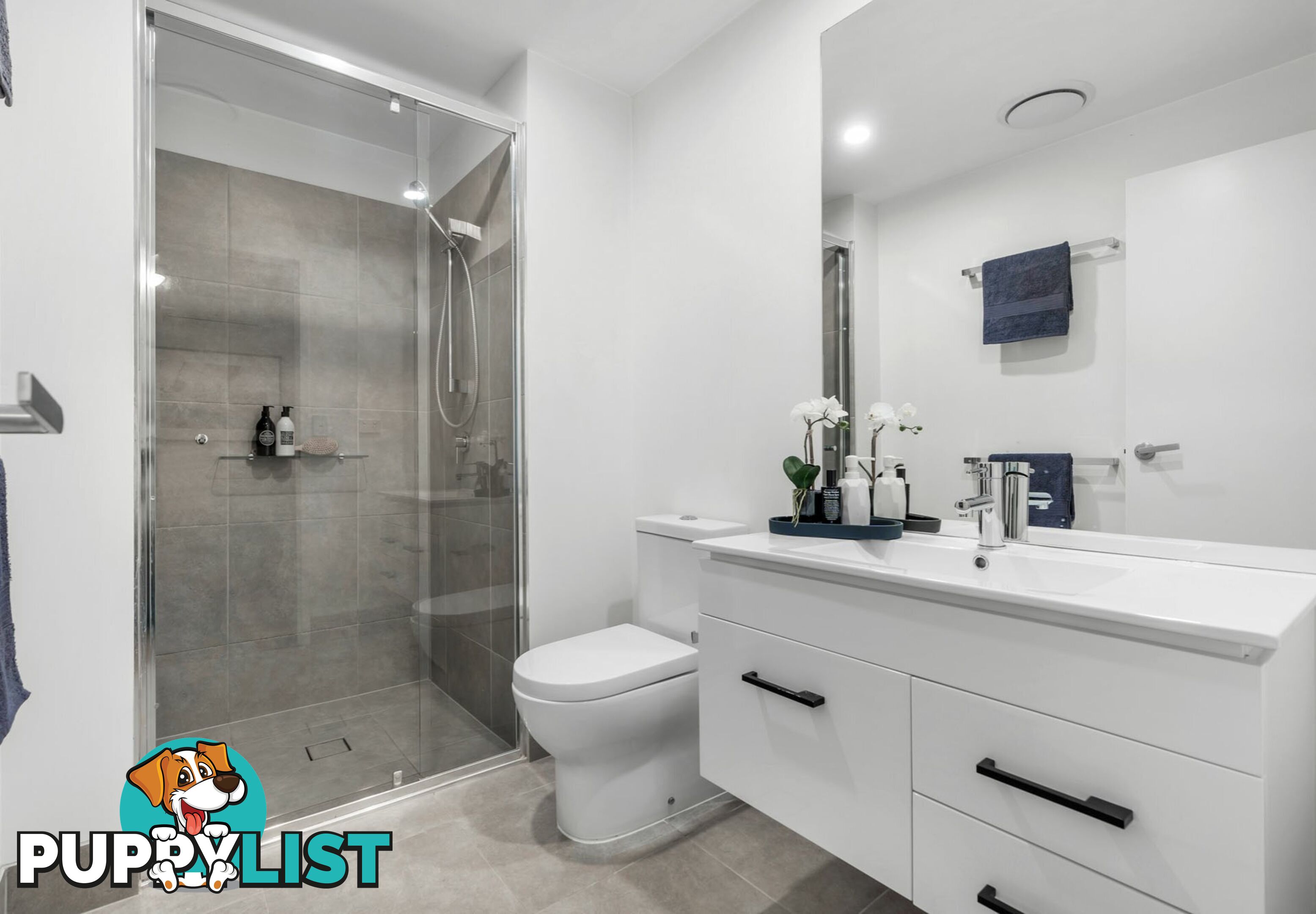 410/22 Andrews Street CANNON HILL QLD 4170