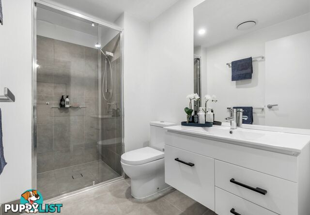 410/22 Andrews Street CANNON HILL QLD 4170