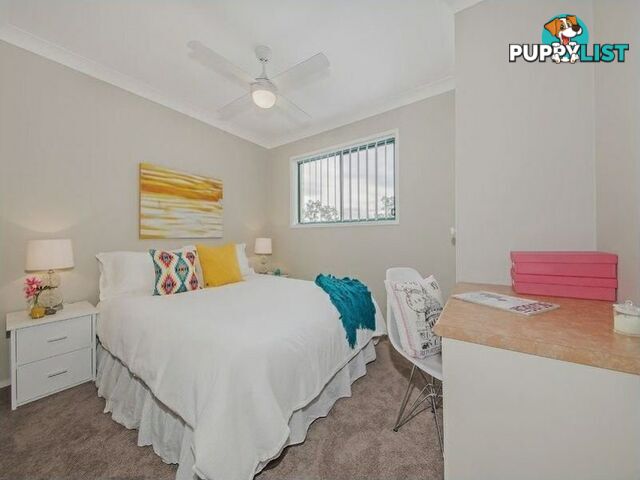 8/55 Lang Street MORNINGSIDE QLD 4170