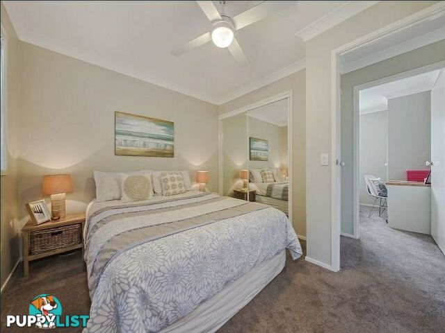 8/55 Lang Street MORNINGSIDE QLD 4170