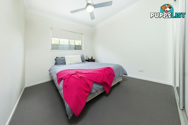 1/24 Rossiter Street MORNINGSIDE QLD 4170