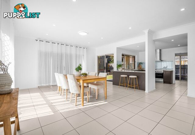 9 Winifred Street ALGESTER QLD 4115