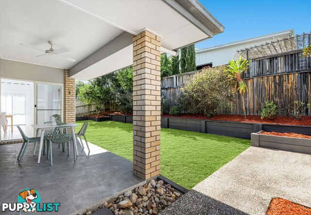 9 Winifred Street ALGESTER QLD 4115