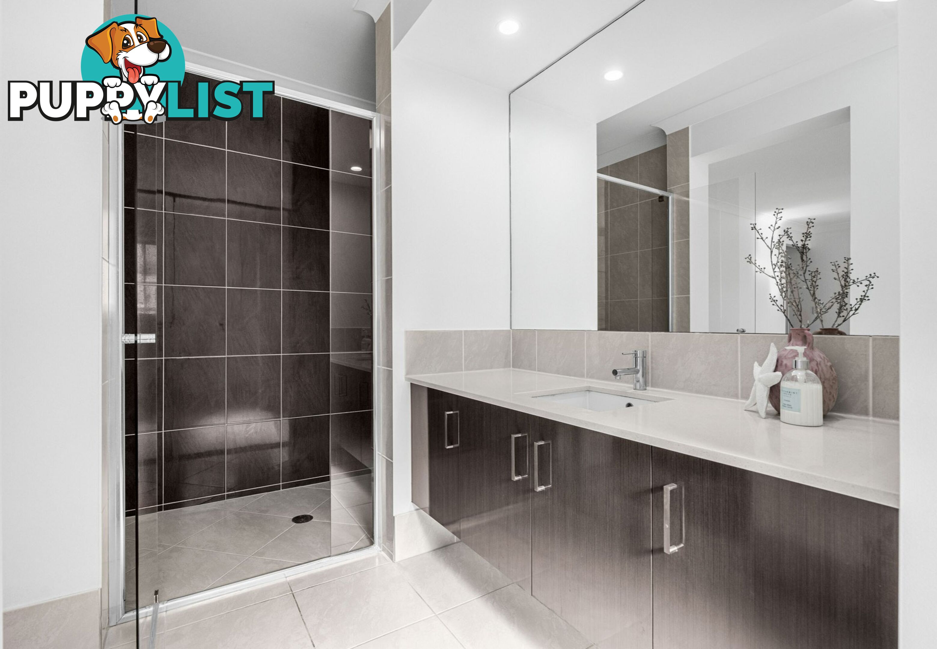 9 Winifred Street ALGESTER QLD 4115