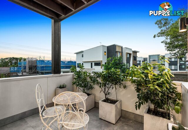 31/19 Governor Terrace MURARRIE QLD 4172
