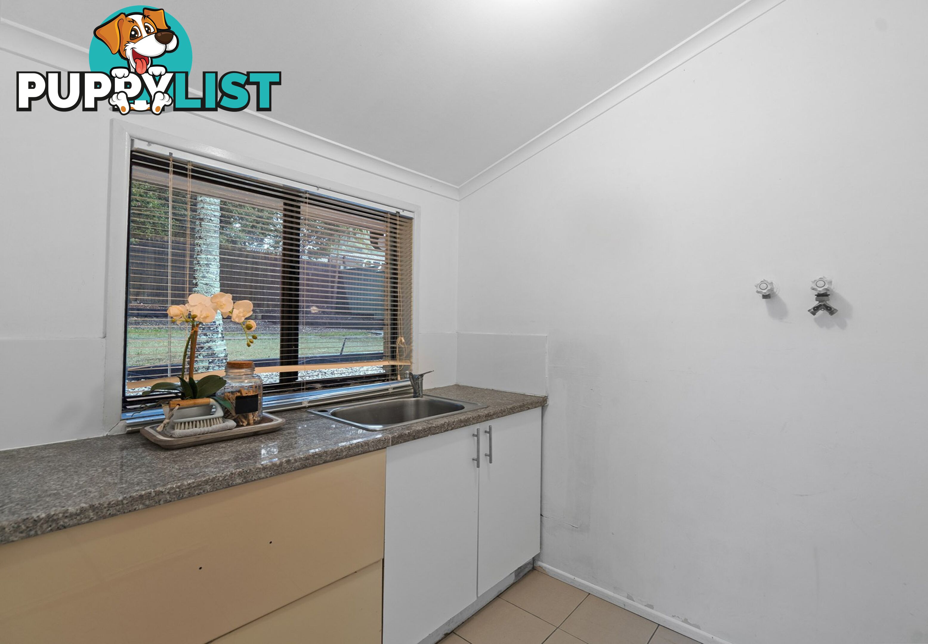 30 Currawong Drive BIRKDALE QLD 4159