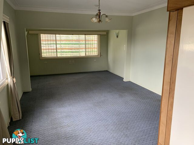 31 Errington Street MOOROOKA QLD 4105