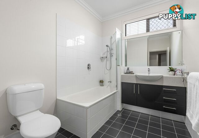 120 Armstrong Road CANNON HILL QLD 4170