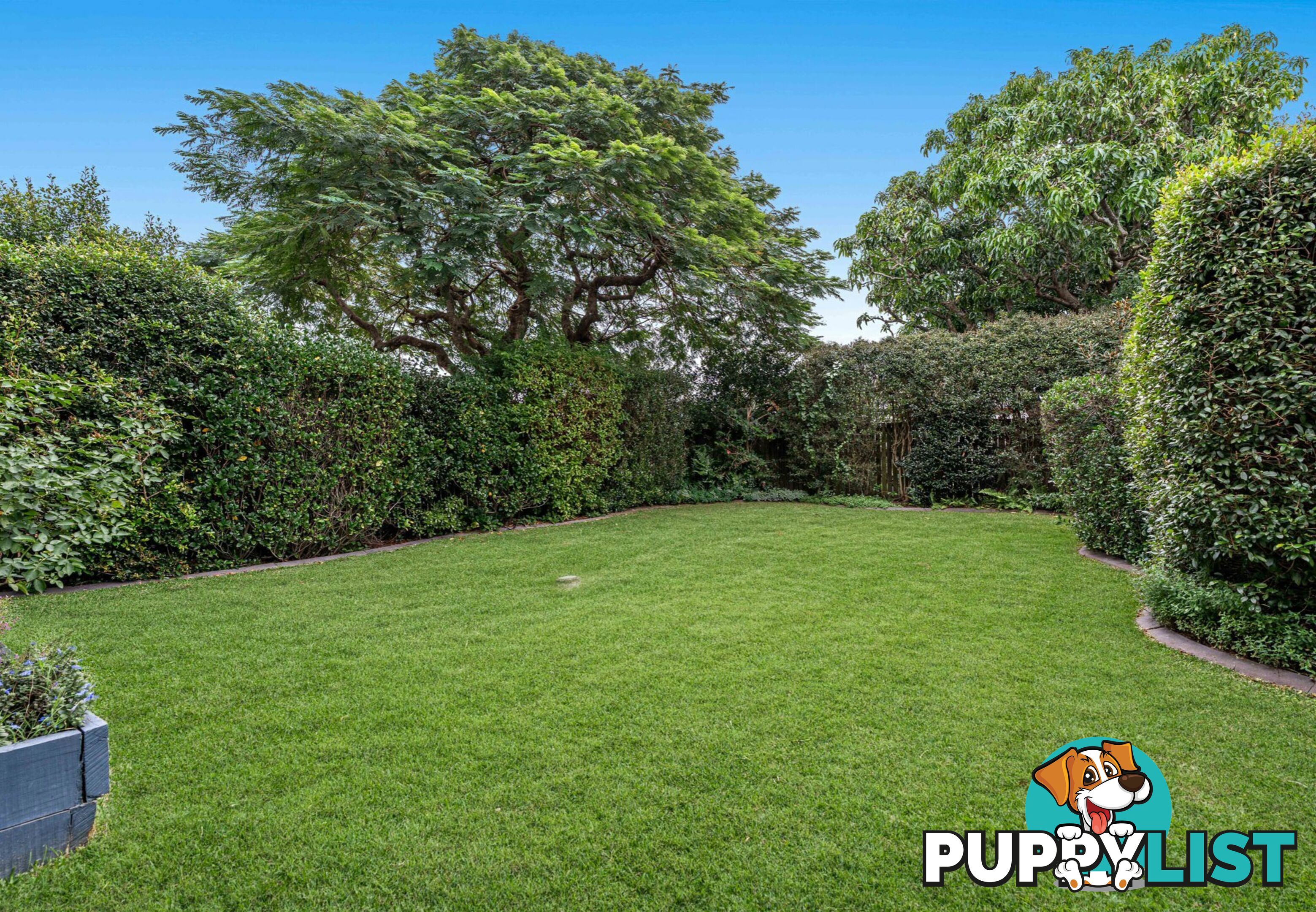120 Armstrong Road CANNON HILL QLD 4170