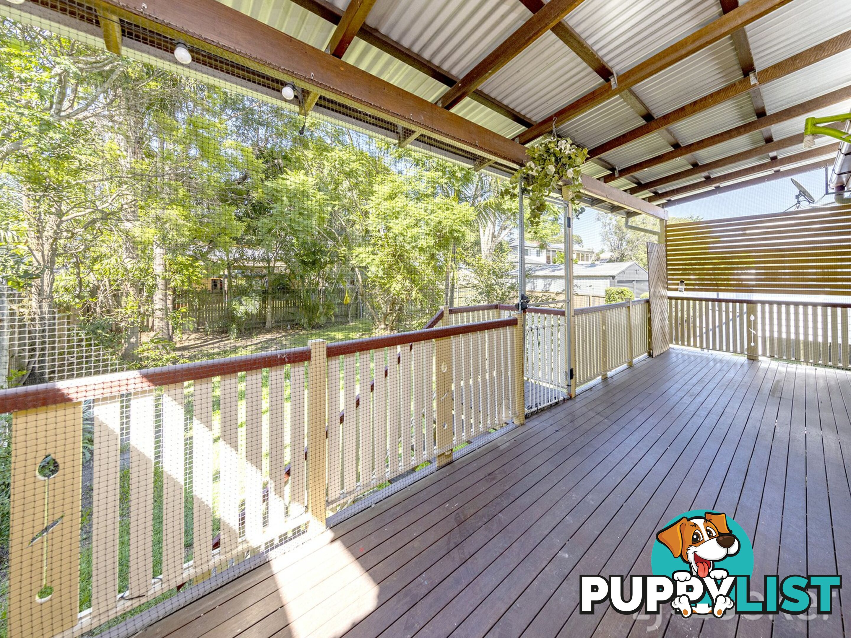 71 Beauvardia Street CANNON HILL QLD 4170