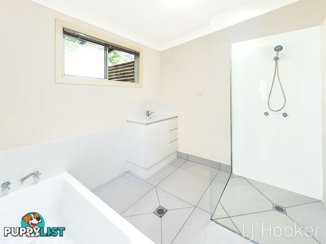 71 Beauvardia Street CANNON HILL QLD 4170