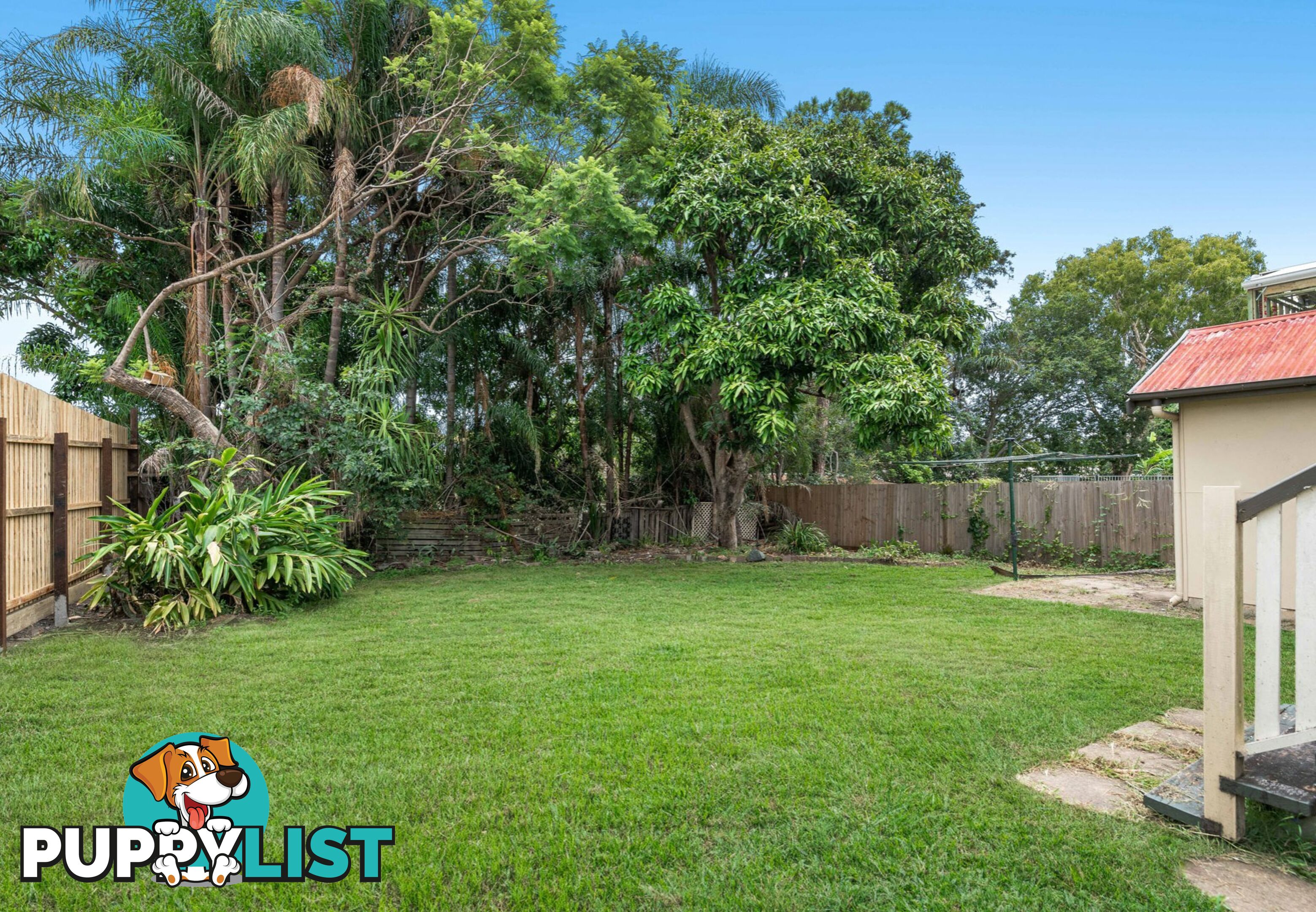 19 Goolara Street CANNON HILL QLD 4170