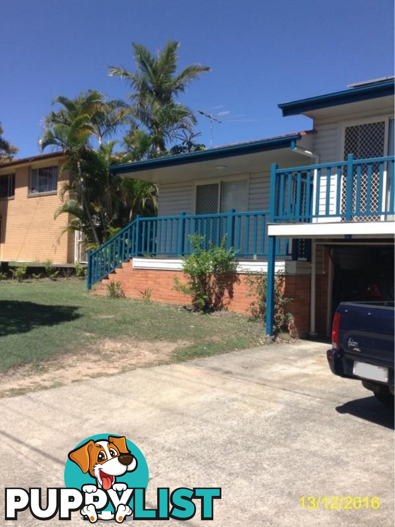 49 Ludwick Street CANNON HILL QLD 4170