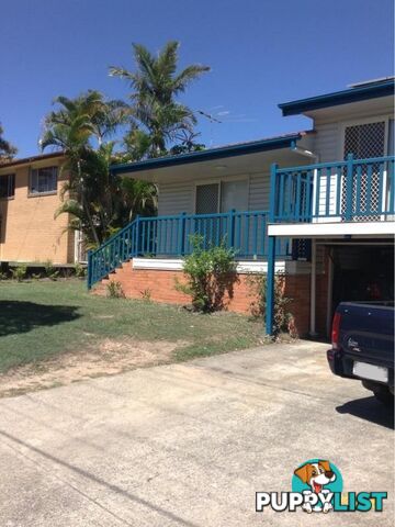 49 Ludwick Street CANNON HILL QLD 4170