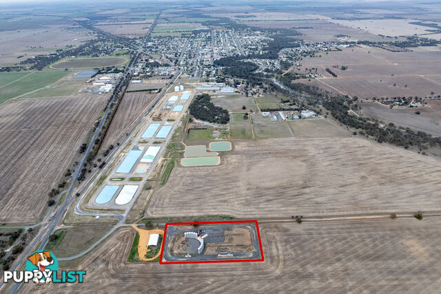 36 Tarrant Road WARRACKNABEAL VIC 3393