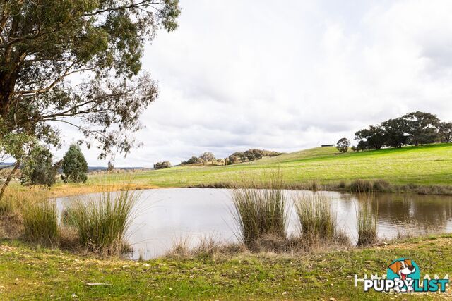 Lot 1, 110 Moonambel-Warrenmang Road MOONAMBEL VIC 3478