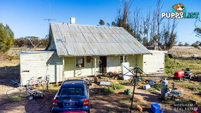 199 Olney-Zass Road BERRIWILLOCK VIC 3531