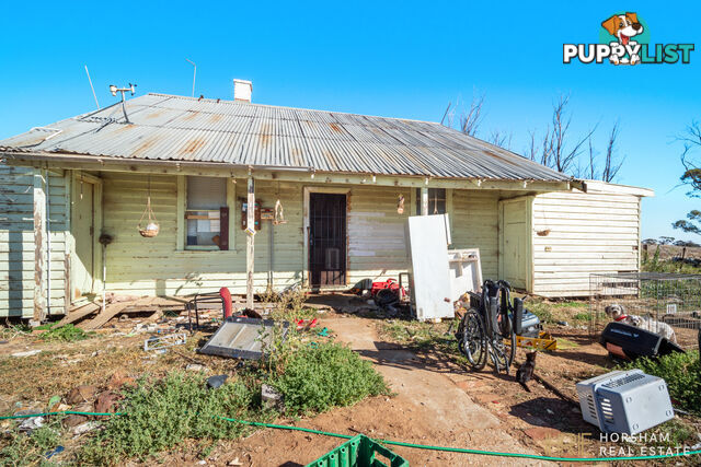 199 Olney-Zass Road BERRIWILLOCK VIC 3531