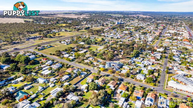 43 Anderson Street DIMBOOLA VIC 3414