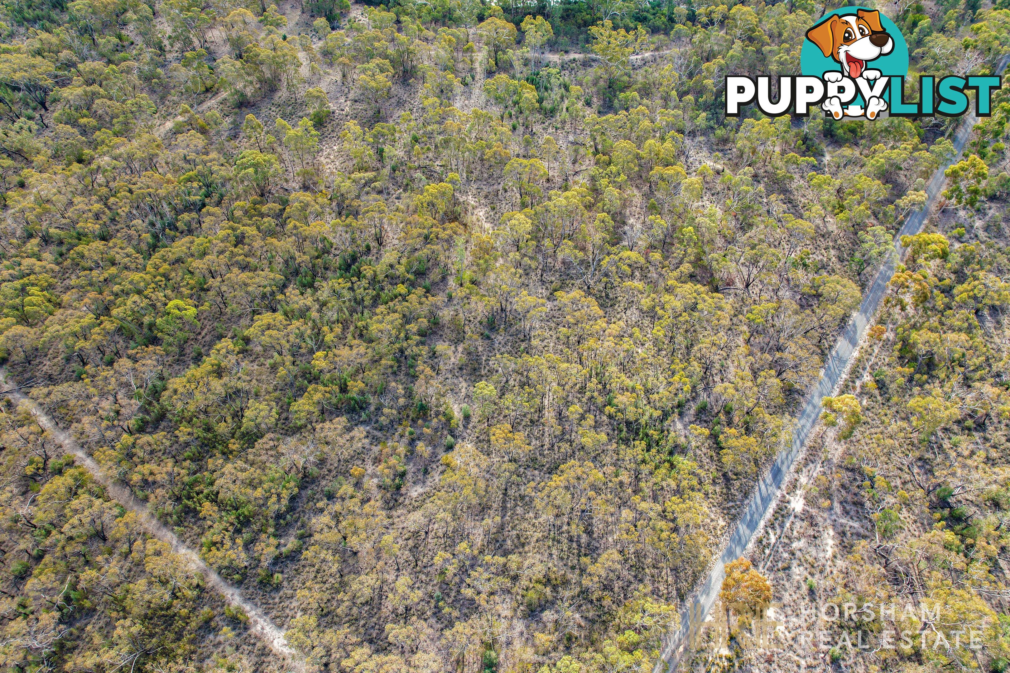 542 Roses Gap Road DADSWELLS BRIDGE VIC 3385