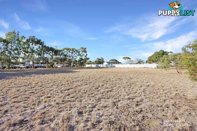 16 Webb Street MURTOA VIC 3390