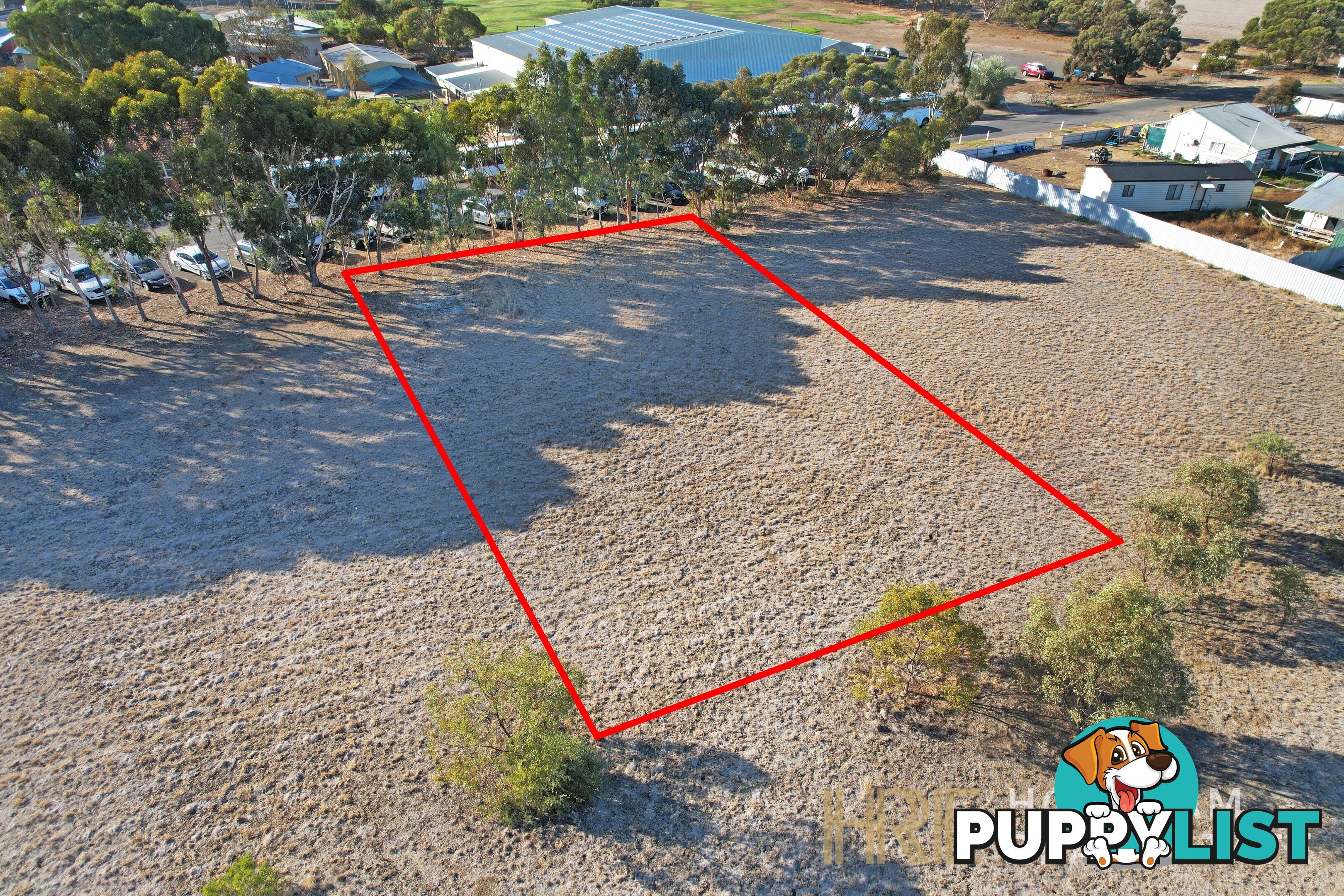16 Webb Street MURTOA VIC 3390
